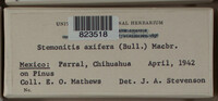 Image Associated With the Occurence